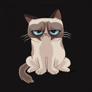 Grumpy Cat Cartoon in Angry Mood