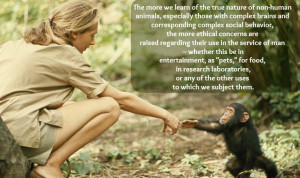 These Amazing Quotes About Animals and Nature Prove Jane Goodall is ...