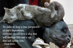 Dog And Cat Quotes