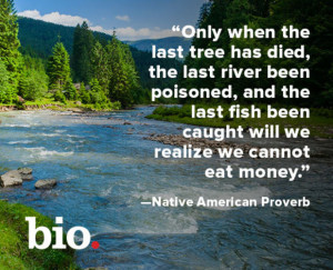Only when the last tree has died, the last river been poisoned, and ...