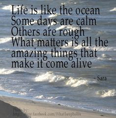 Life is like the ocean. Some days are calm, others are rough. What ...