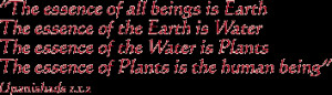 upanishads more than 200 upanishads are known of which the 1st dozen
