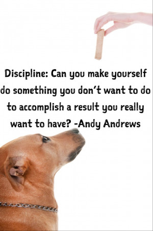 Oh, discipline... You're no fun. #quote