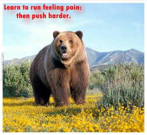 country quotes | best country quotes | awesome country quotes ...