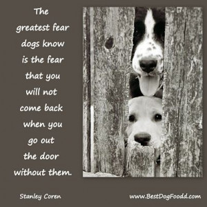 dog poems and quotes