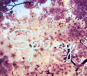... , love, pink, quote, spring, summer, sun, tan, text, warm, weather