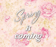 ... 31 23 hello spring spring spring quotes spring pictures hello spring