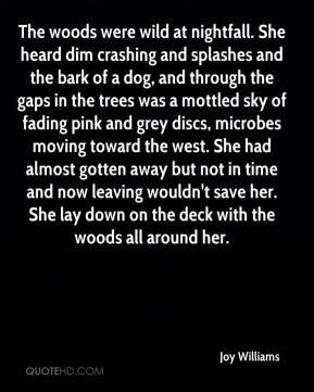 Joy Williams - The woods were wild at nightfall. She heard dim ...