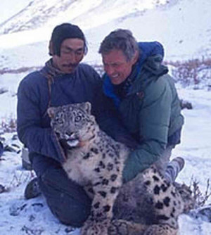 ... local tracker pose with an anesthetized snow leopard in the Himalayas