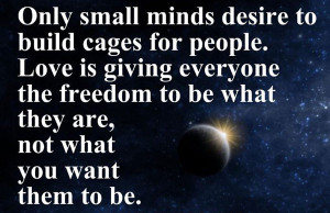 Only small minds desire to build cages for people.
