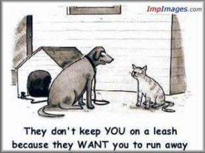 Sunday Funny (For Dog Lovers…Not So Much For Cat People)