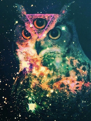 trippy psychedelic drugs acid lsd owl trippy gif drug acid trip owl ...