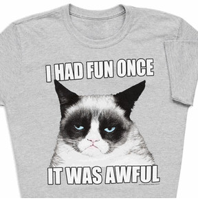 Good Morning Grumpy Cat Let Have Some Fun