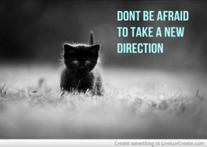 Cute Cat Quotes Picture by Nimoe Bayliss - Inspiring Photo