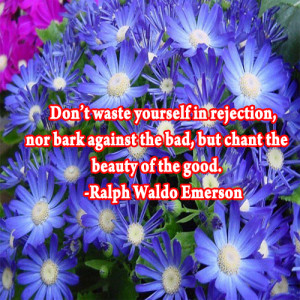 Don’t waste yourself in rejection, nor bark against the bad, but ...