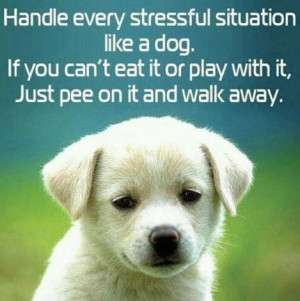 Dog quotes, funny dog quotes, dog lover quotes, best dog quotes ...