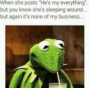 Kermit the frog that aint None of my business quotes