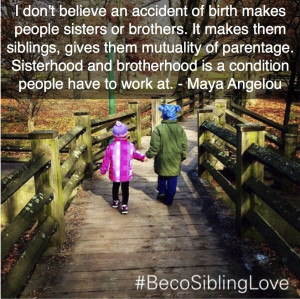 Sibling love- respecting it, working for it, and preserving it