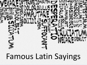 Latin Phrases and Quotes