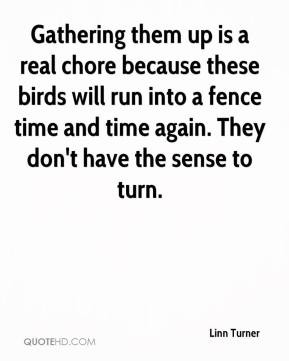 real chore because these birds will run into a fence time and time ...