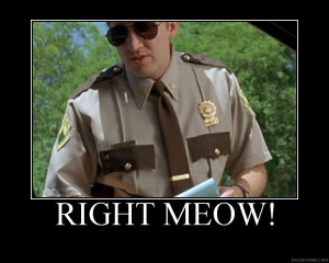 super troopers cracks me up every time.