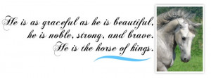 beautiful he is noble strong and brave He is the horse of kings