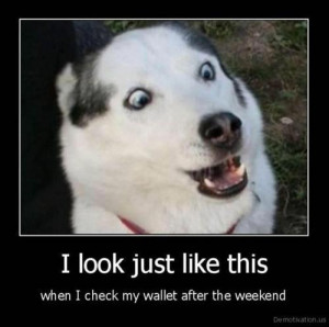 husky look just like this Funny dog photo with captions