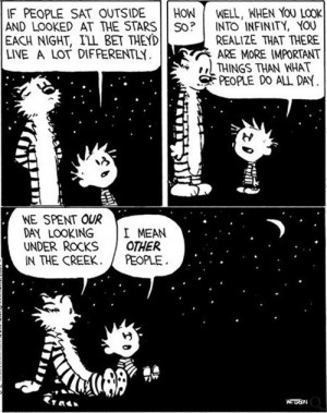 calvin and hobbes quote