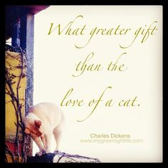 ... cat. Charles Dickens #cat #quotes #love #dickens #charlesdickens #gift