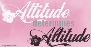 Genie’s Gem – Your Altitude is Determined by Your Attitude