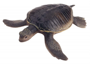 Old Turtle , Animals Wallpapers