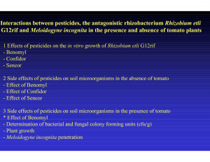 Interactions between pesticides, the antagonistic rhizobacterium