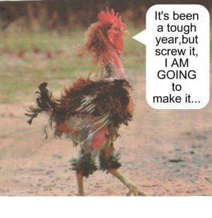 somebody feed the rooster lol!