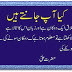 words hazrat ali in urdu, islamic wallpapers, golden words wallpapers