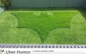 The bosses wife asked him to mow the lawn. This is what she got.