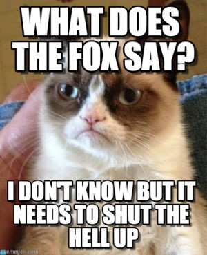 ... Fox Say?, I Don't Know But It Needs To Shut The Hell Up - by Anonymous