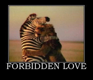 Forbidden-Love.jpg