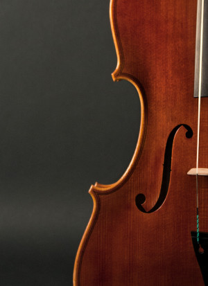 Viola Instrument Viola model (ebersberger