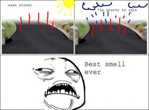 funny summer exercise body