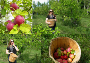 Picking Our First Homegrown