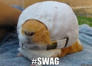 Swaggity Guineapig