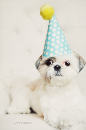 Happy Birthday Coco Bean – by Chic Sprinkles