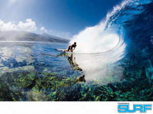You are viewing a Surf Wallpaper