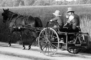 Amish Family Flees Country to Avoid 10-Year-Old’s State-Enforced ...