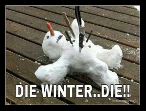 die winter funny dead snowman