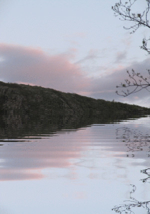 dag hammarskjold stamp upside down dag hjalmar agne carl hammarskjold ...