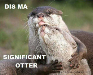 Funny Otter Caption Image - Dis ma significant otter