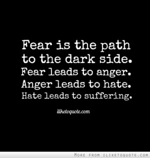 Fear is the path to the dark side. Fear leads to anger. Anger leads to ...