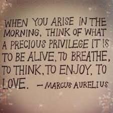 It is a precious privilege to be alive