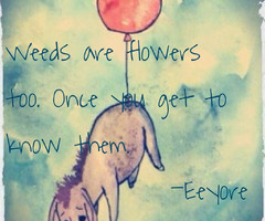 eeyore quotes